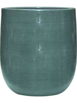 Darcy Aqua
