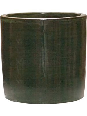 Cylinder Olive