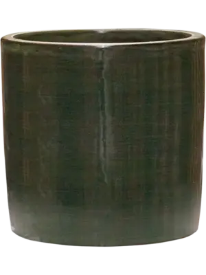 Cylinder Olive