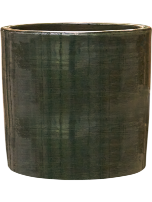 Cylinder Olive