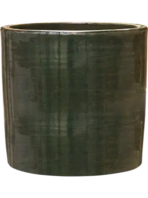 Cylinder Olive