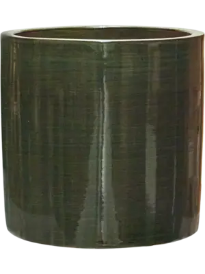 Cylinder Olive