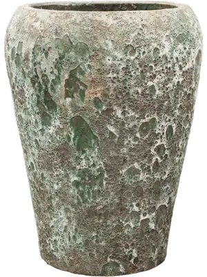 Coppa Relic Jade