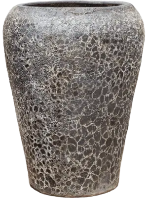 Coppa Relic Black