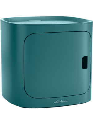 Petrol Blue