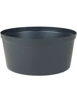 Classico 43 Hydro (20/box)