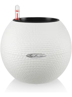 All Inclusive Set White