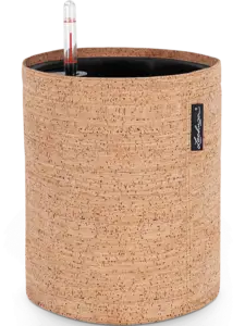 Trendcover