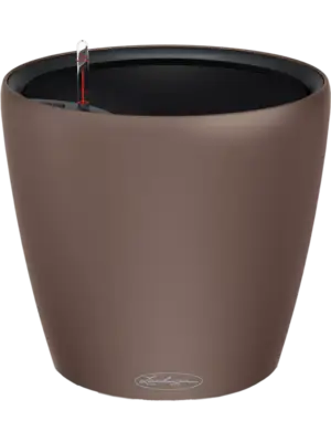 All Inclusive Set Nutmeg