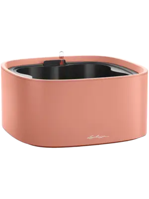 All Inclusive Set Coral Red