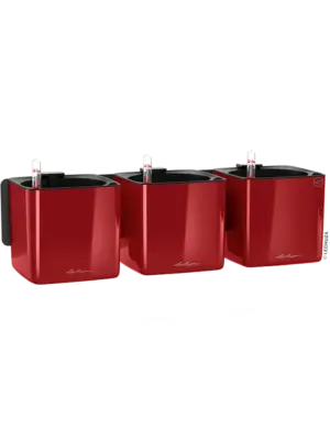 All Inclusive Set Scarlet Red High-gloss