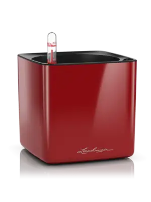 All Inclusive Set Scarlet Red High-gloss