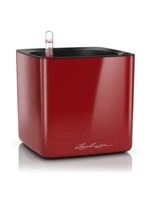 All Inclusive Set Scarlet Red High-gloss