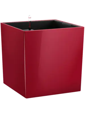 All Inclusive Set Scarlet Red High-gloss