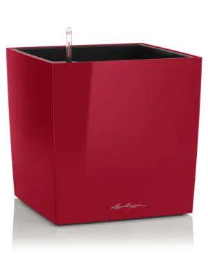 All Inclusive Set Scarlet Red High-gloss