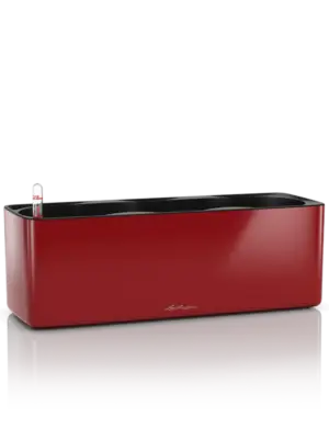 All Inclusive Set Scarlet Red High-gloss
