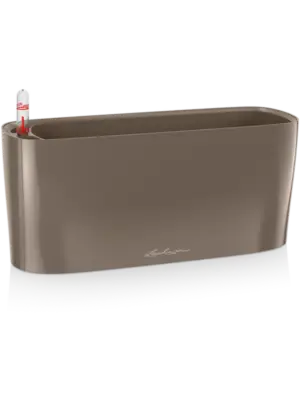 All Inclusive Set Taupe High Gloss