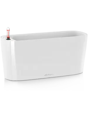 All Inclusive Set White