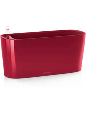 All Inclusive Set Scarlet Red High-gloss