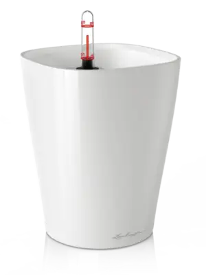 All Inclusive Set White