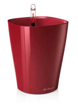 All Inclusive Set Scarlet Red High-gloss