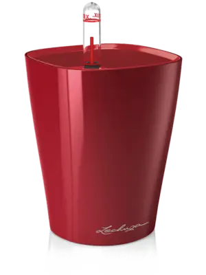 All Inclusive Set Scarlet Red High-gloss