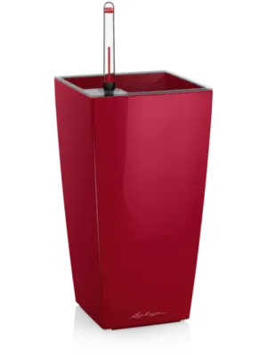 All Inclusive Set Scarlet Red High-gloss