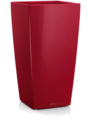 Scarlet Red High-gloss