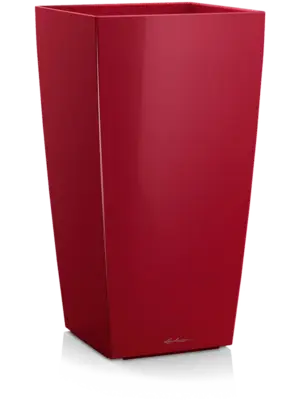 Scarlet Red High-gloss