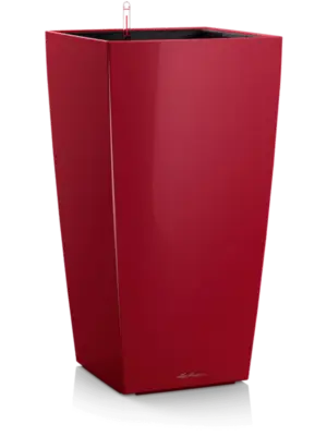 All Inclusive Set Scarlet Red High-gloss