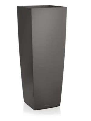 Antracite
