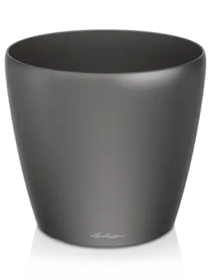 Anthracite metallic