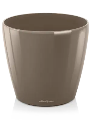Taupe High Gloss