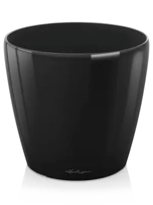 Black High Gloss