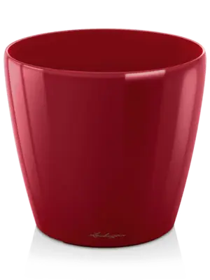 Scarlet Red High-gloss