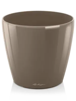Taupe High Gloss