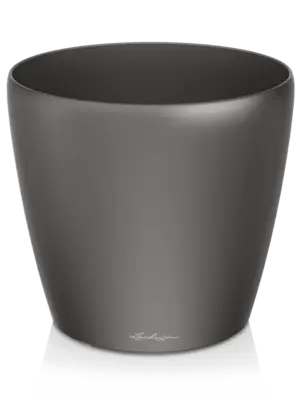 Anthracite Metallic