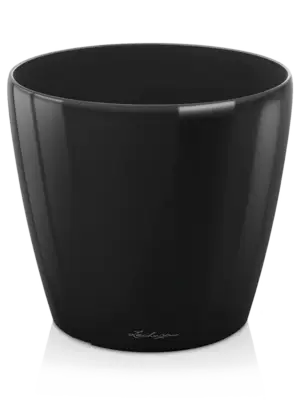 Black High Gloss