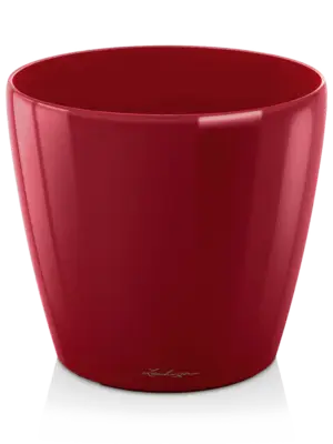 Scarlet Red High-gloss