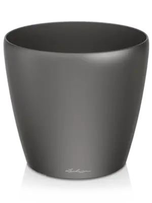 Anthracite metallic