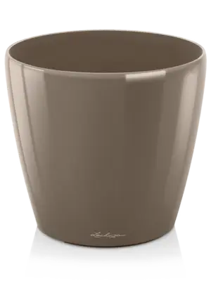 Taupe High Gloss