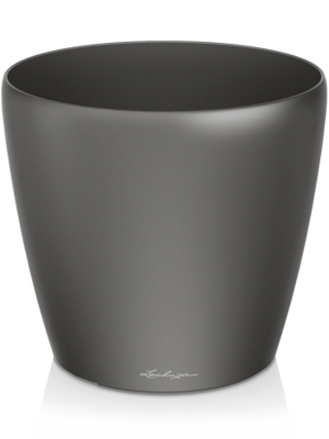 Anthracite metallic