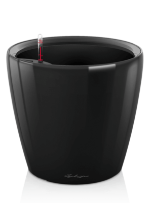 All Inclusive Set black High Gloss