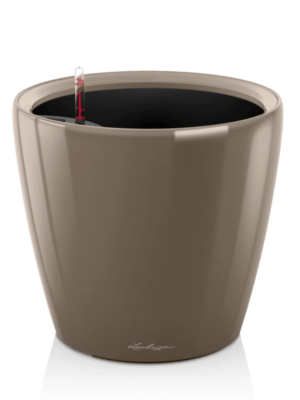 All Inclusive Set Taupe High Gloss