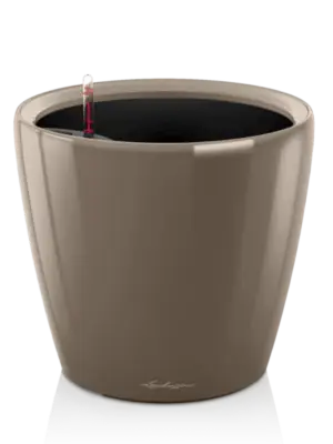 All Inclusive Set Taupe High Gloss
