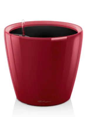 All Inclusive Set Scarlet Red High-gloss
