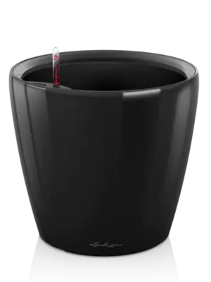All Inclusive Set Black High Gloss