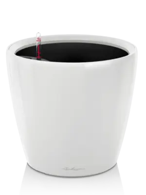 All Inclusive Set White High Gloss