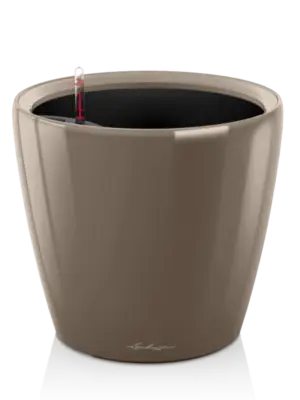 All Inclusive Set Taupe High Gloss