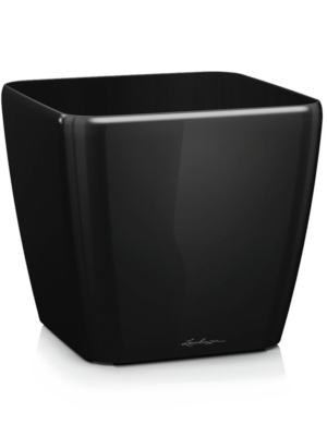 Black High Gloss